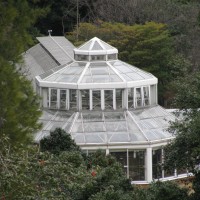 Serre Oshima IMG_0039