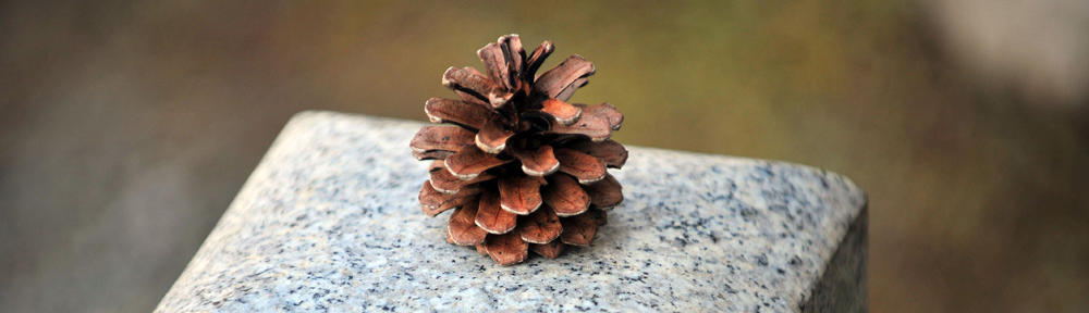 Ma Botanique