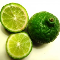 Combawa, Kaffir, Makrut, Limettier hérissé