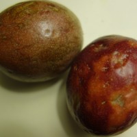 Grenadille rouge, Fruit de la passion