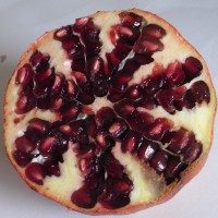 Grenade, Pomme des carthaginois