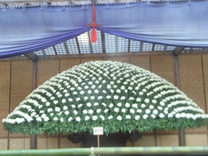 shinjuku gyoen Ozukuri R0013175