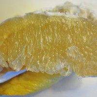 Pamplemousse, Le vrai Pamplemousse