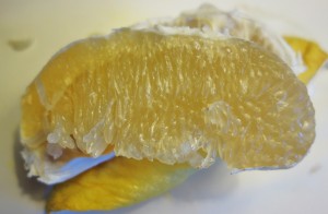 citrus grandis