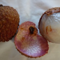 Litchi de Chine, Cerise de Chine, Litchi Ponceau