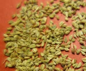 ajwain 