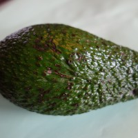 Avocat