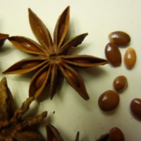 Anis étoilé, Badiane chinoise