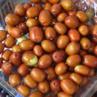 Jujube, Datte chinoise