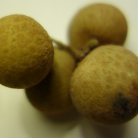 Longane, Œil de dragon