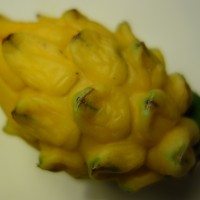 Pitaya jaune, Fruit du dragon jaune