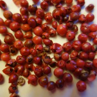 Baies roses, Poivre des Bourbons