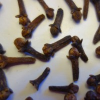 Clou de girofle