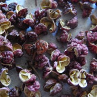 Poivre de Sichuan
