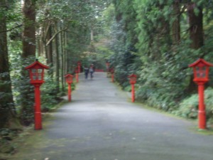 Hakone allee des cèdres 