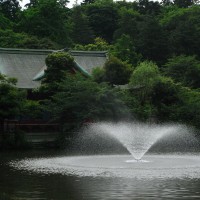 Inokashira Park
