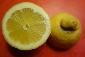 citrus latifolia