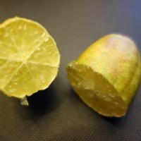 microcitrus 