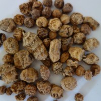 Souchet comestible, Noix tigré, Horchata