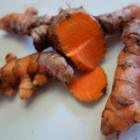 Curcuma, Safran des Indes