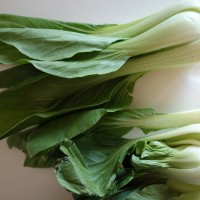 Chou Pak-choi, Chou de Chine, Bette de Chine