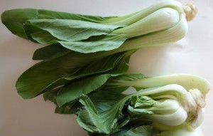 pak choi 