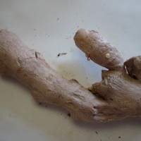 Gingembre