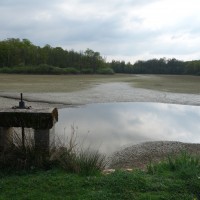 Etang en assec