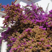 Belvédère Santa Luzia