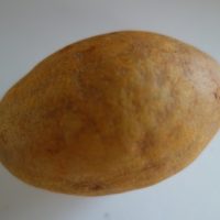 Sapotille, Nèfle d’Amérique