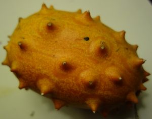 kiwano-dsc00125