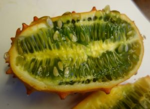 kiwano-dsc00173