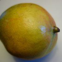 Mangue, pêche des tropiques