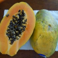 Papaye, Figuier des îles, Arbre à melon