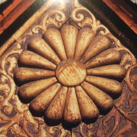 Chrysanthèmes du Japon